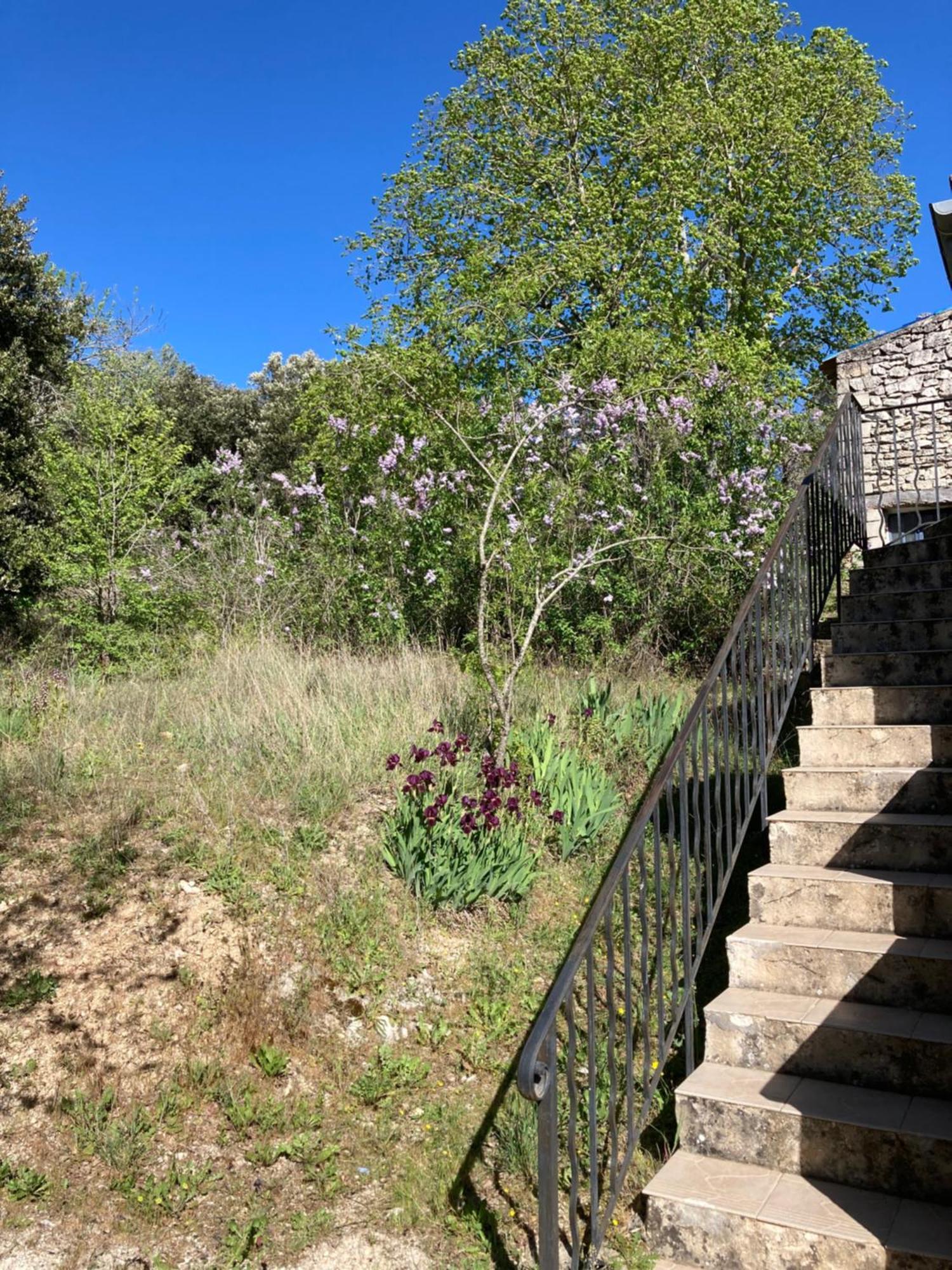 Maison Au Colorado Provencal Villa Rustrel Eksteriør bilde