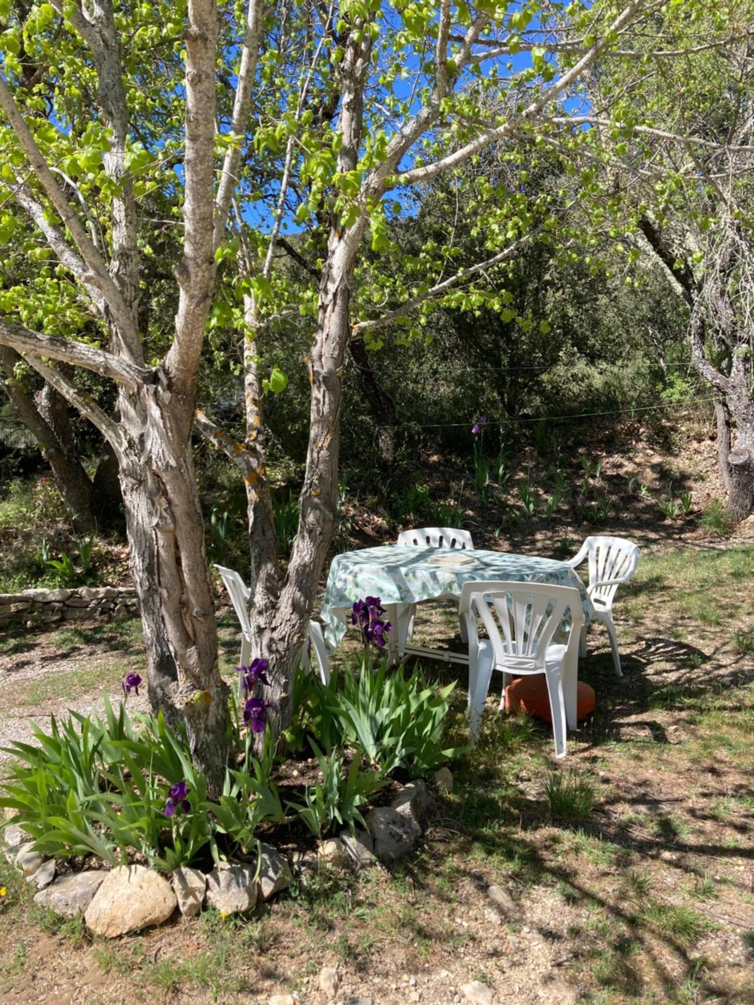 Maison Au Colorado Provencal Villa Rustrel Eksteriør bilde