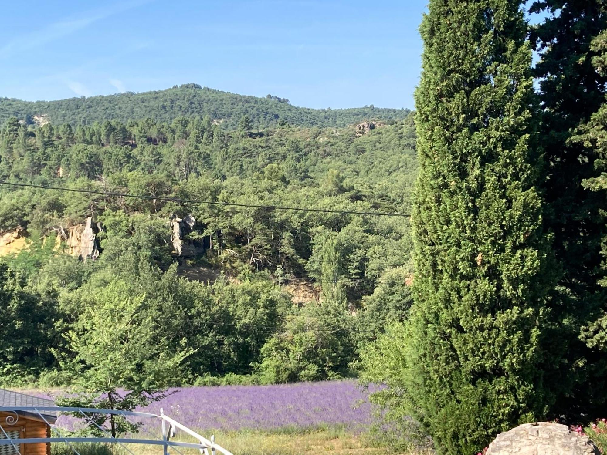 Maison Au Colorado Provencal Villa Rustrel Eksteriør bilde