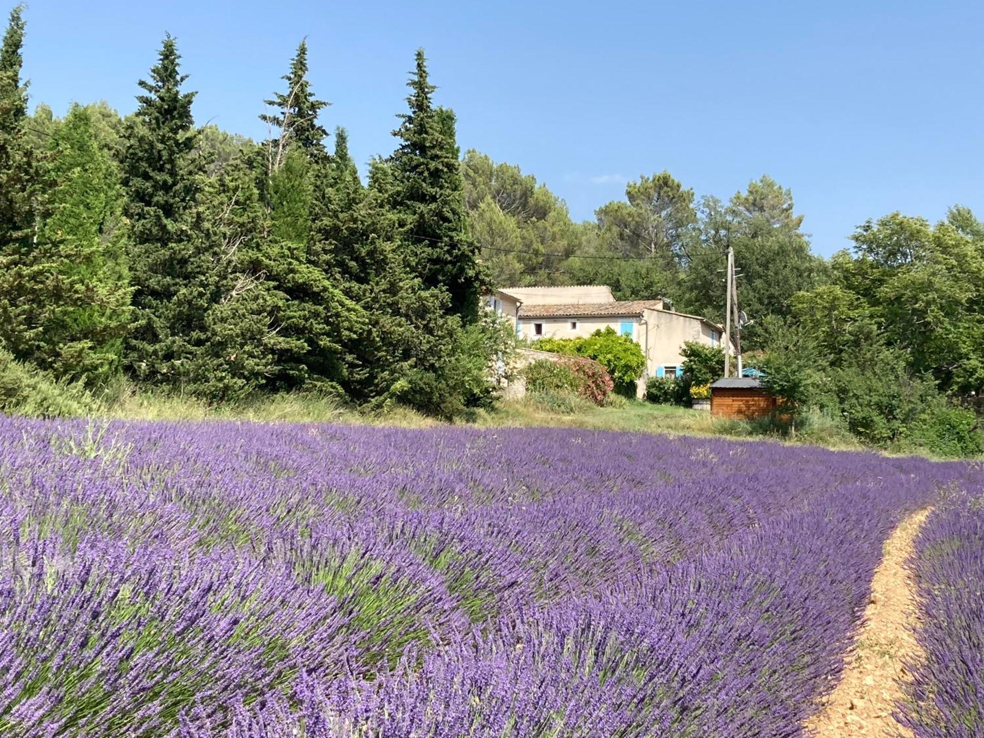 Maison Au Colorado Provencal Villa Rustrel Eksteriør bilde