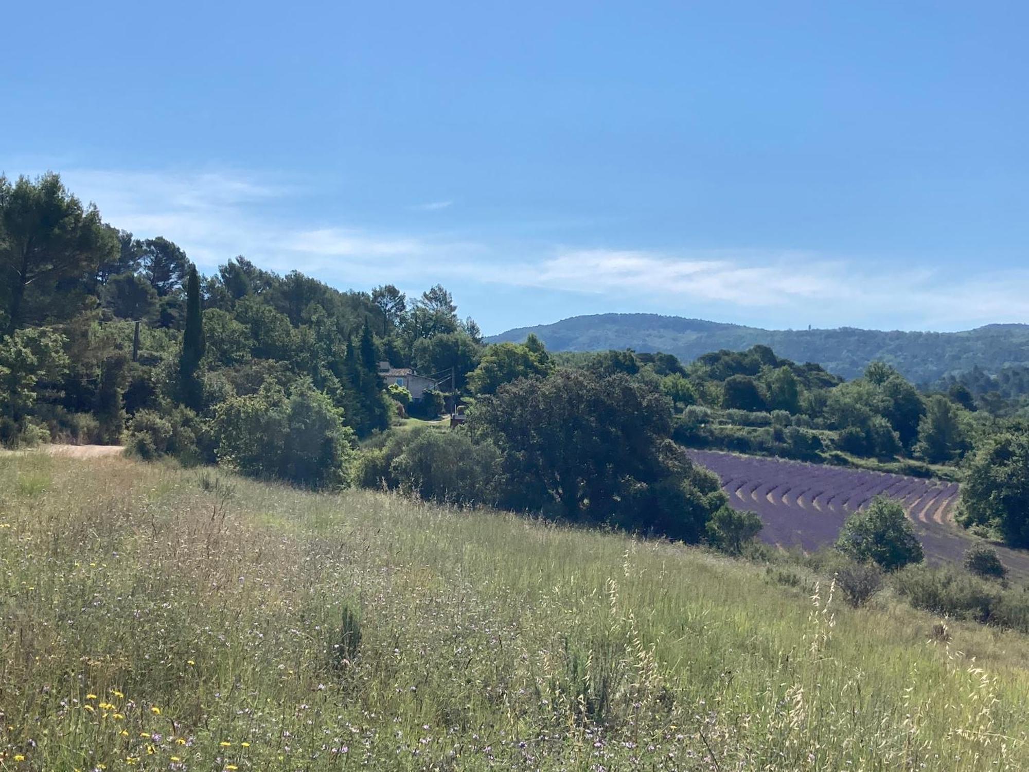 Maison Au Colorado Provencal Villa Rustrel Eksteriør bilde